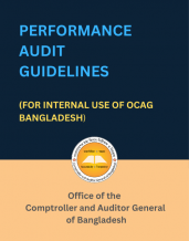 Performance Audit Guidelines, 2023