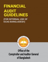 Financial Audit Guidelines, 2021